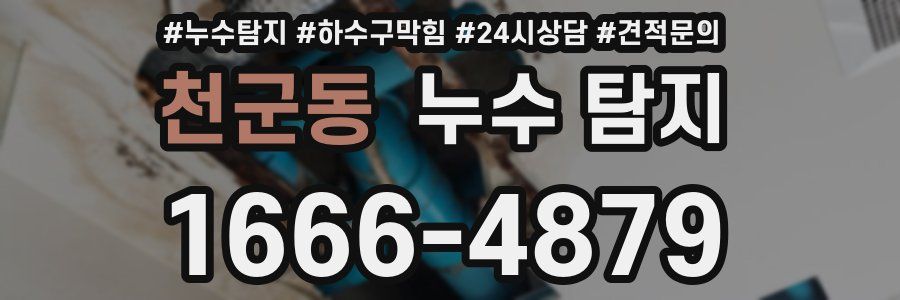 천군동 누수 탐지