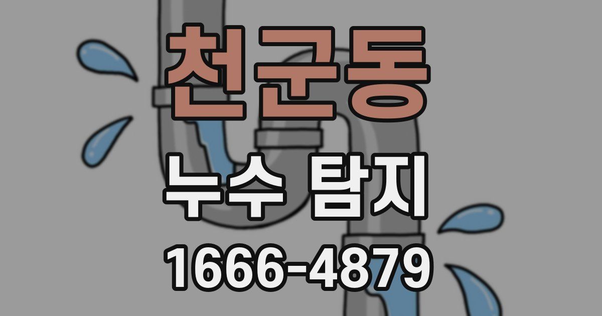 천군동 누수 탐지