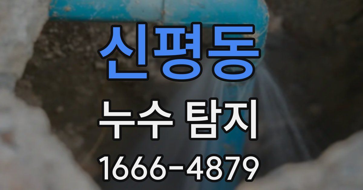 신평동 누수 탐지