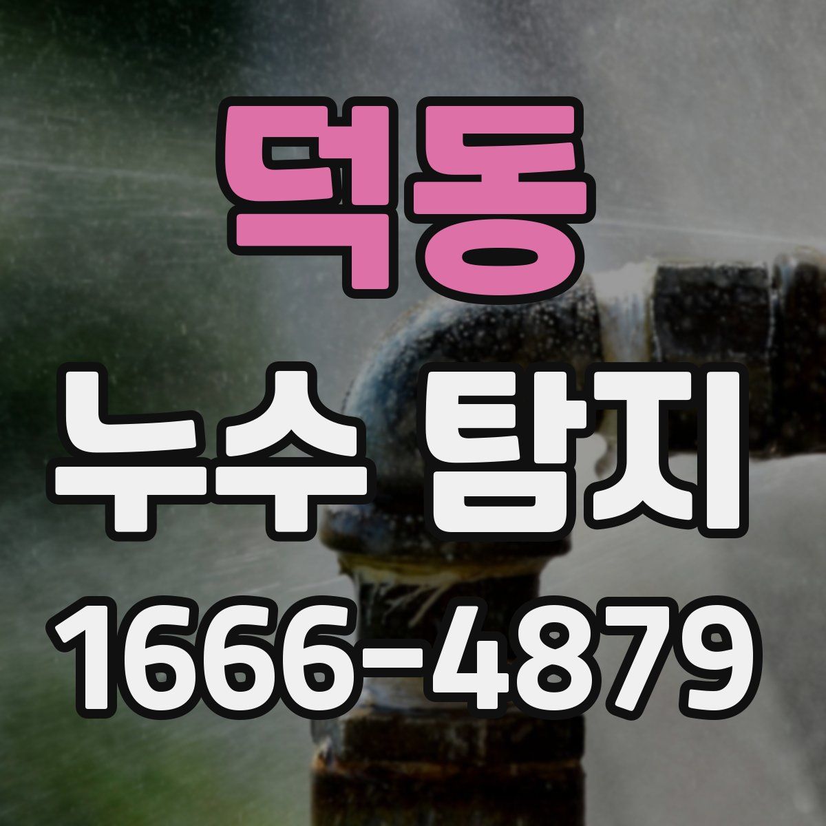 덕동 누수 탐지