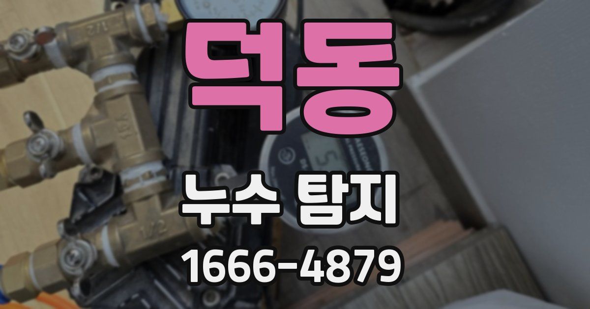 덕동 누수 탐지