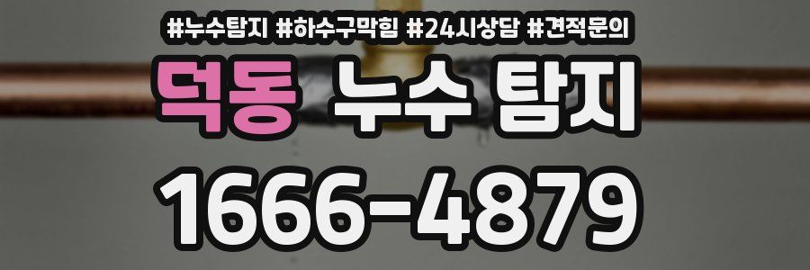 덕동 누수 탐지
