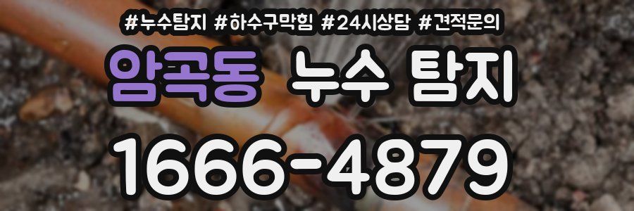암곡동 누수 탐지