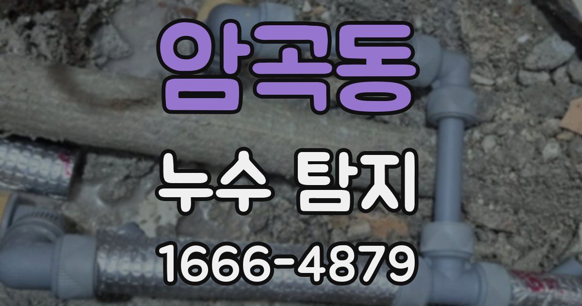 암곡동 누수 탐지
