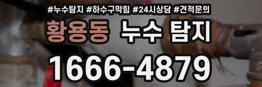 황용동 누수 탐지