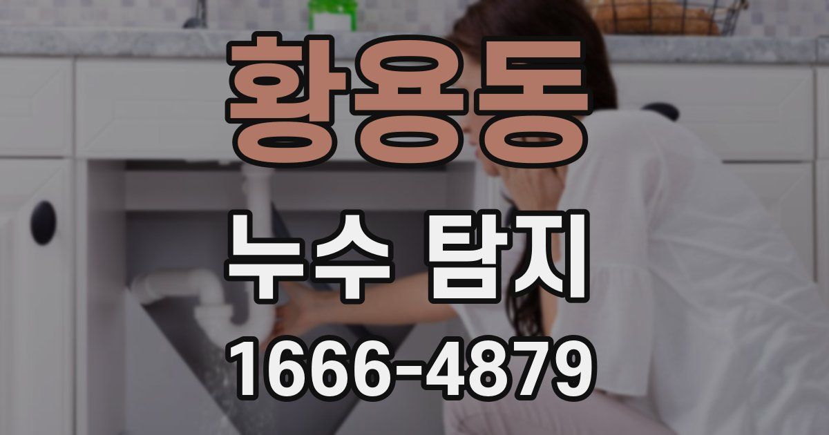황용동 누수 탐지