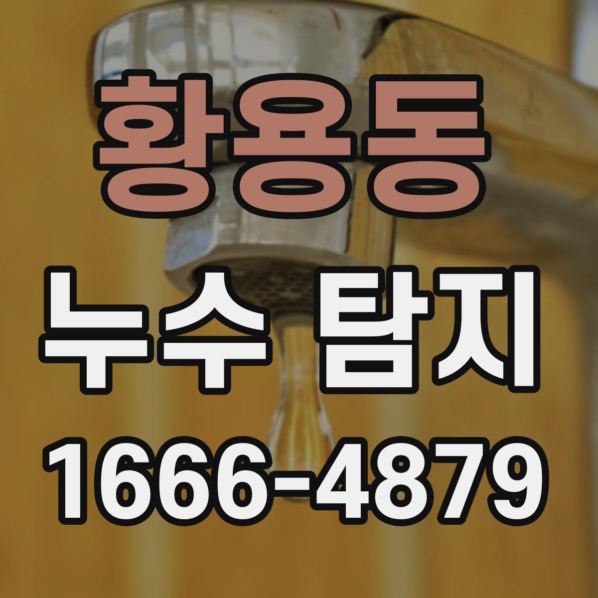 황용동 누수 탐지