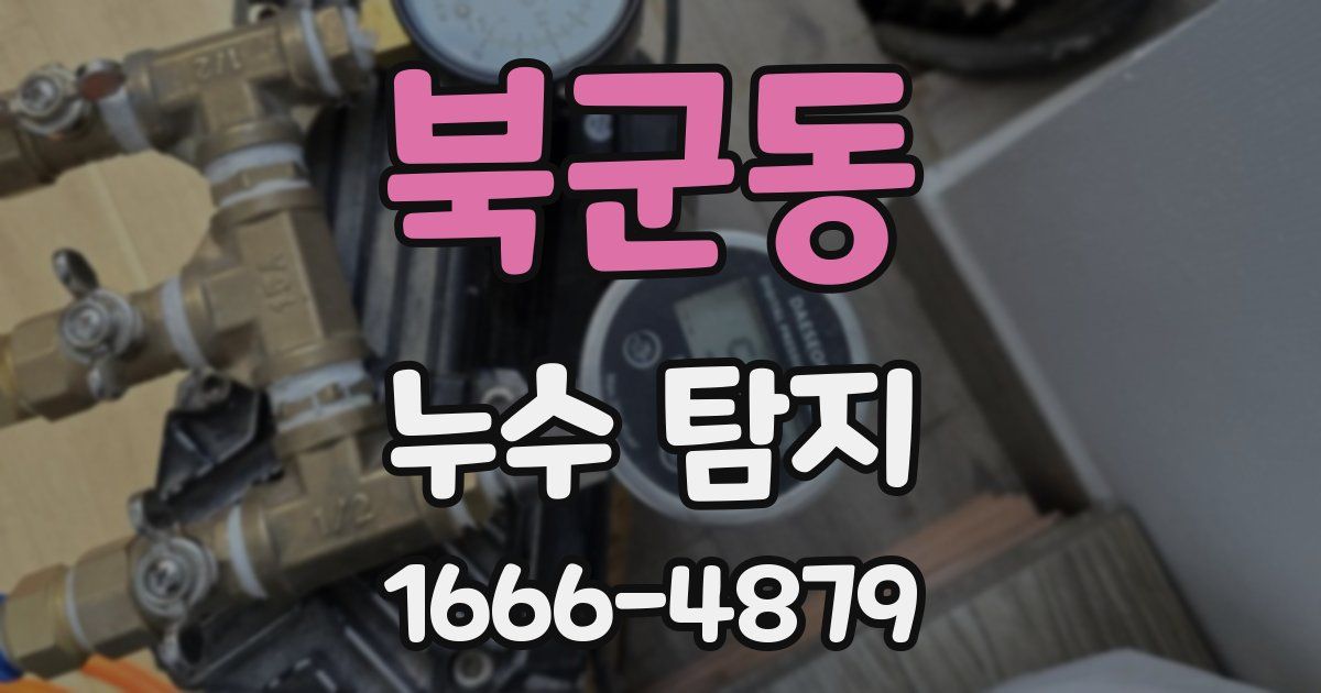 북군동 누수 탐지
