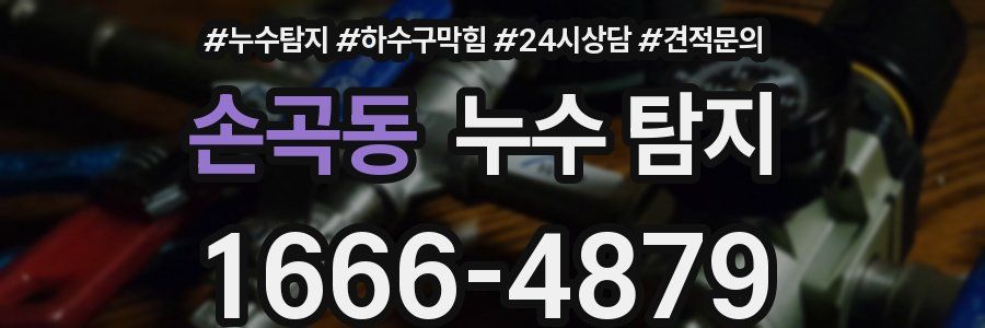 손곡동 누수 탐지