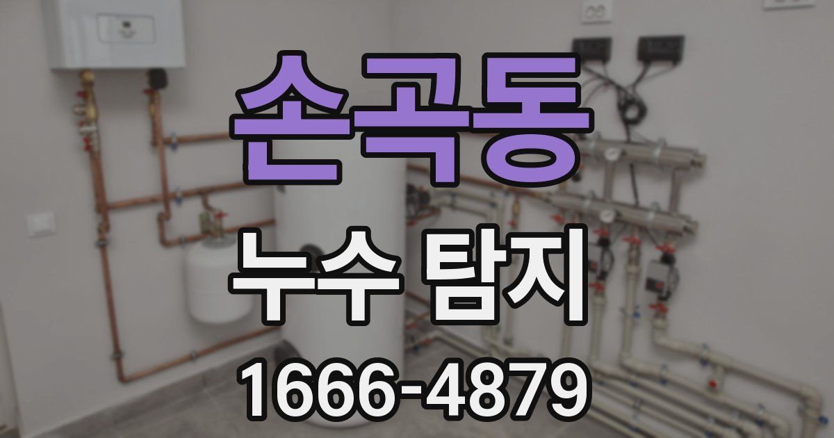 손곡동 누수 탐지
