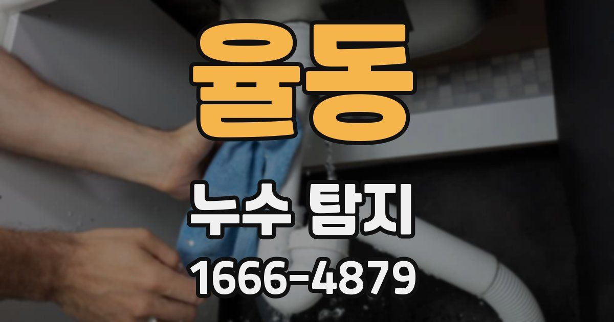 율동 누수 탐지