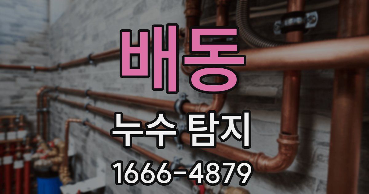 배동 누수 탐지