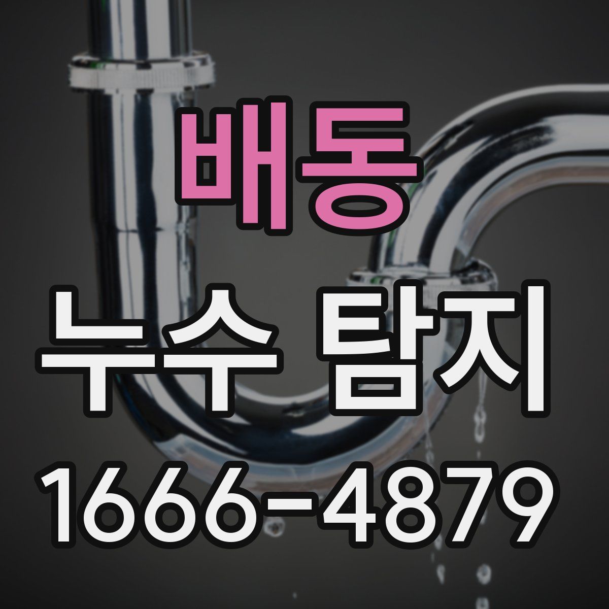 배동 누수 탐지