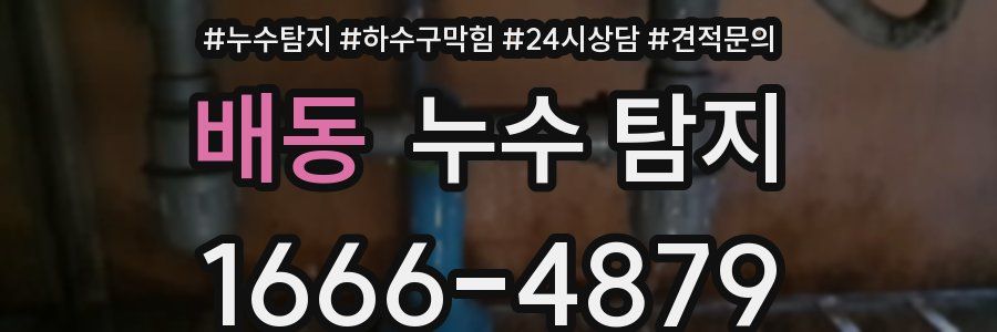배동 누수 탐지