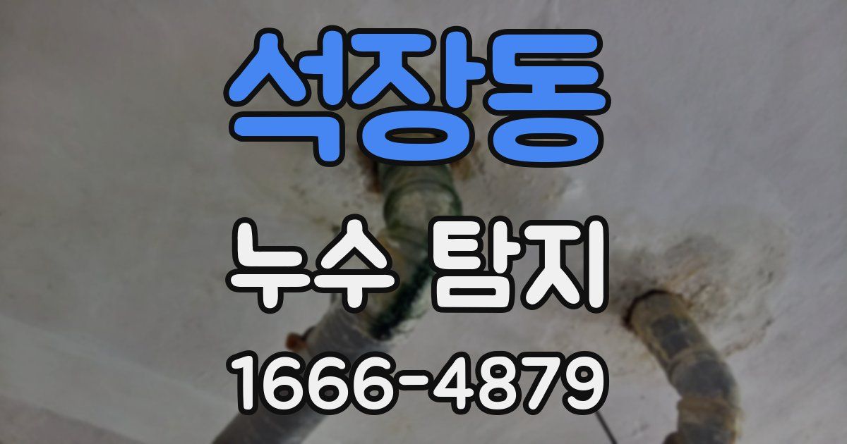 석장동 누수 탐지