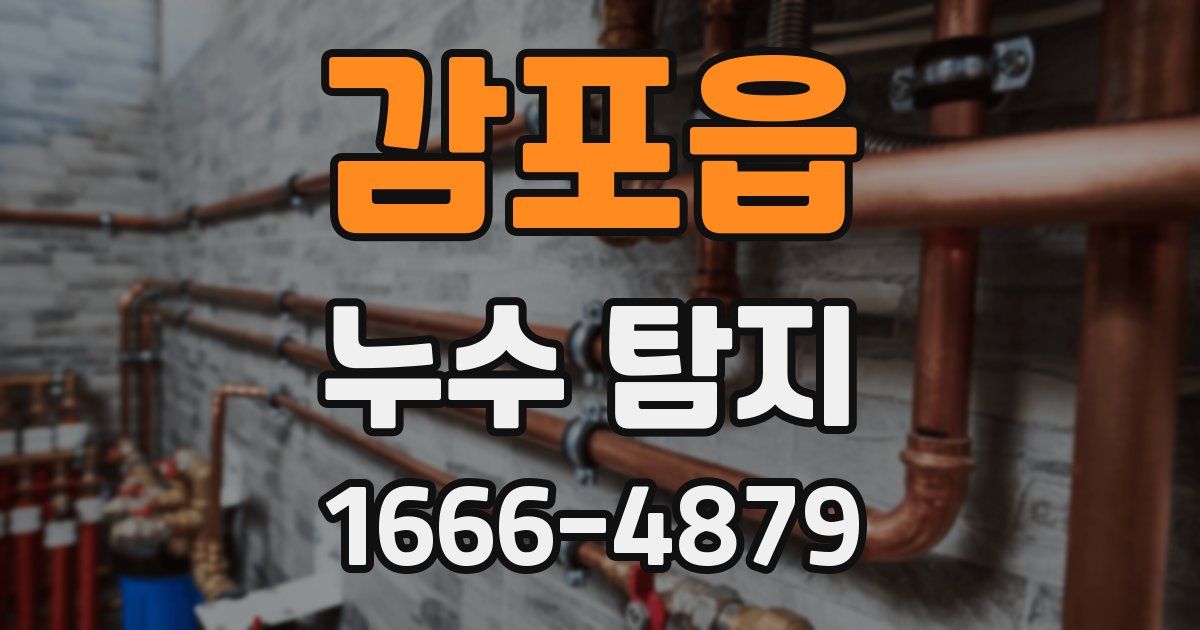 감포읍 누수 탐지