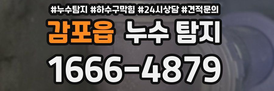 감포읍 누수 탐지