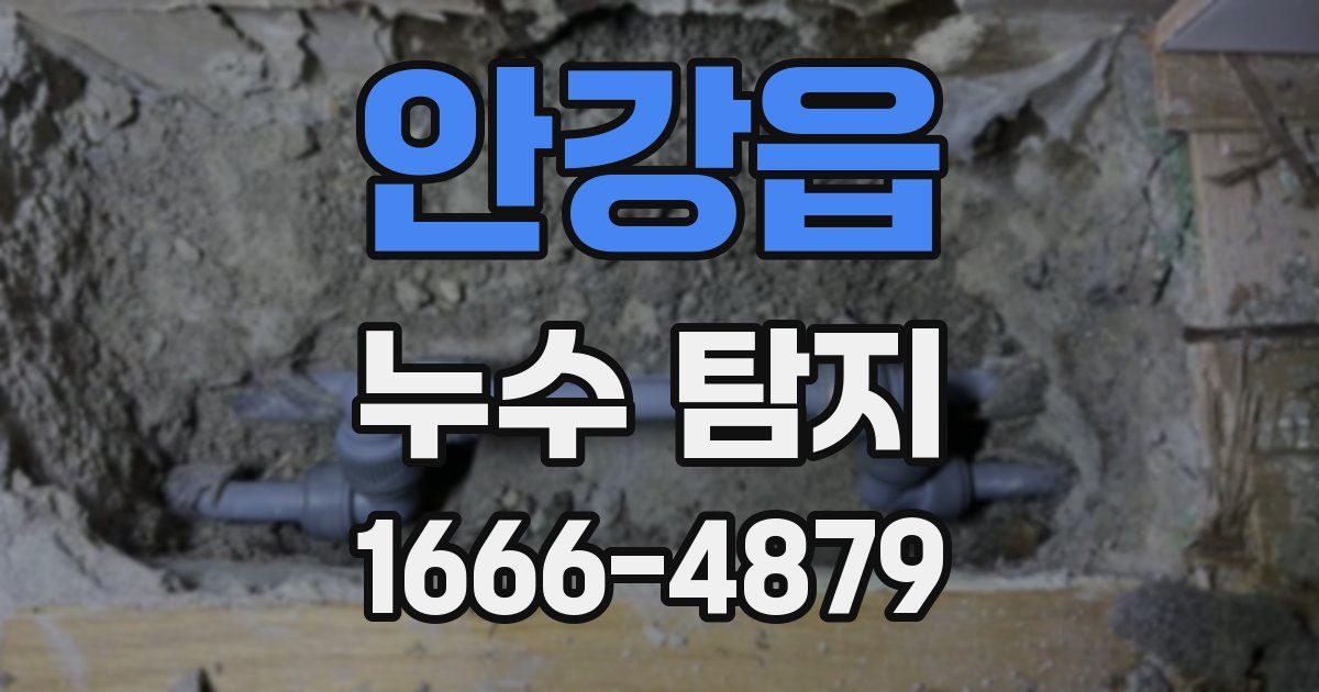 안강읍 누수 탐지