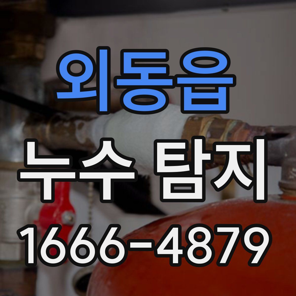 외동읍 누수 탐지