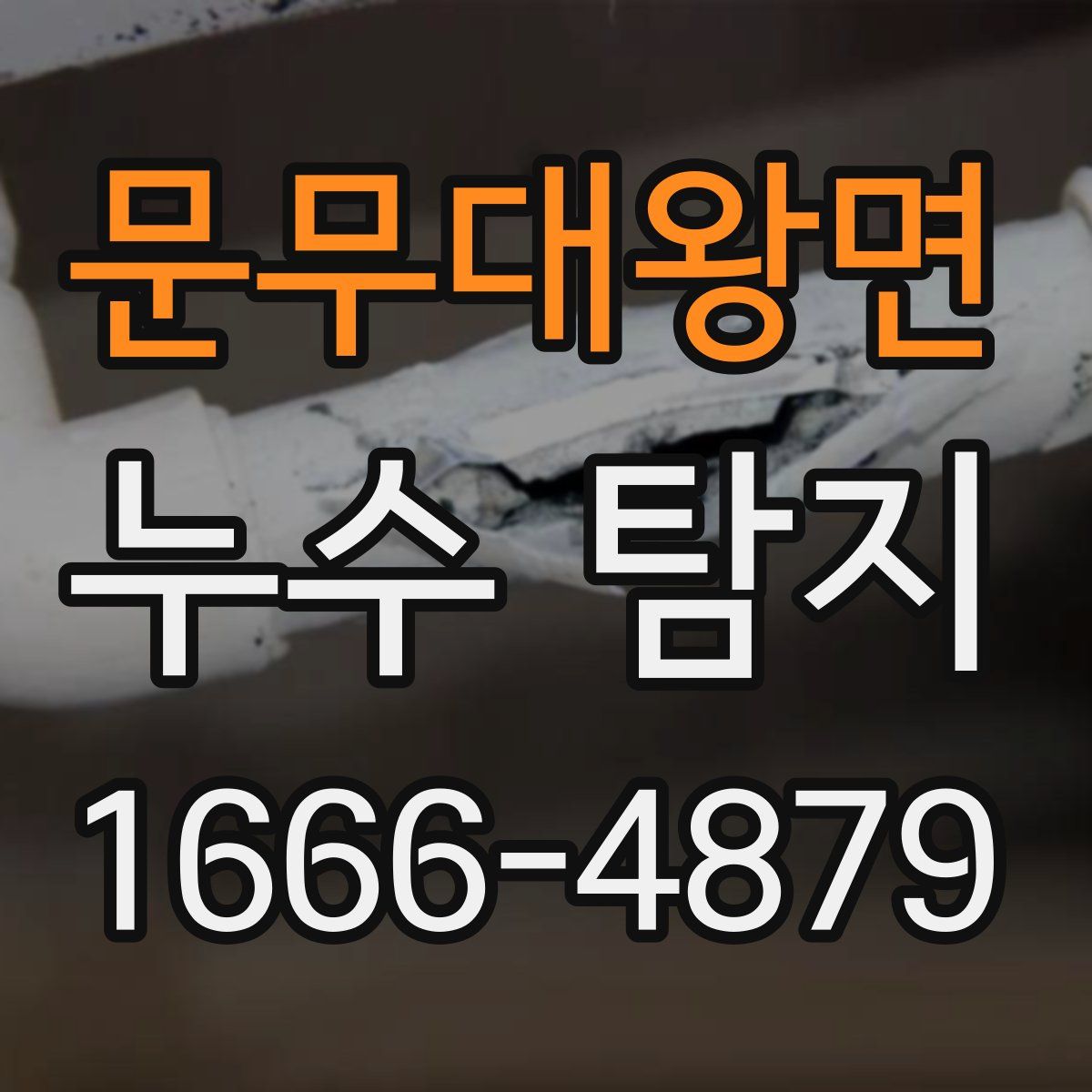 문무대왕면 누수 탐지