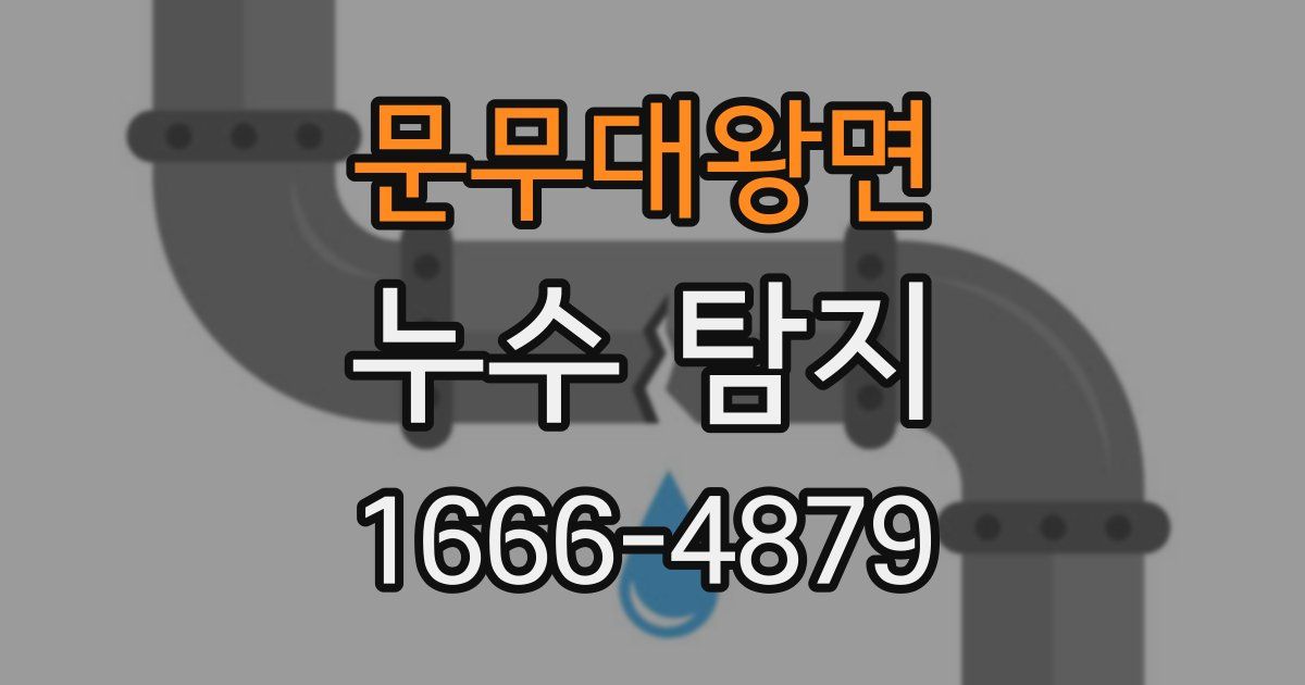 문무대왕면 누수 탐지