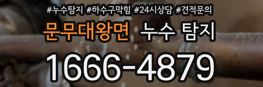 문무대왕면 누수 탐지