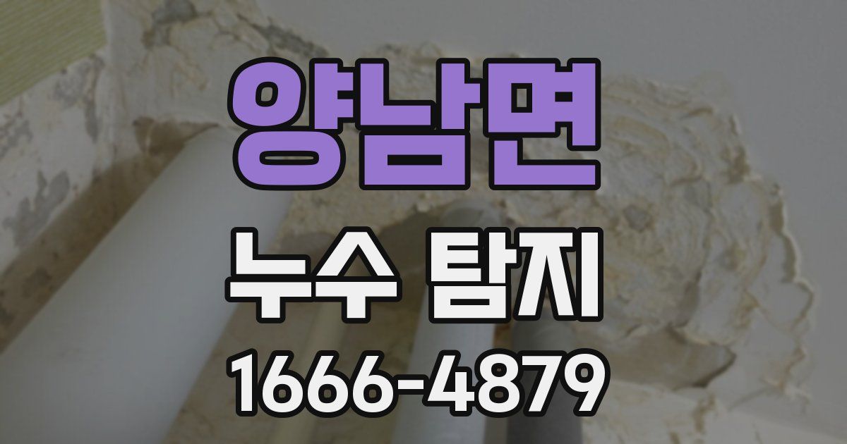양남면 누수 탐지