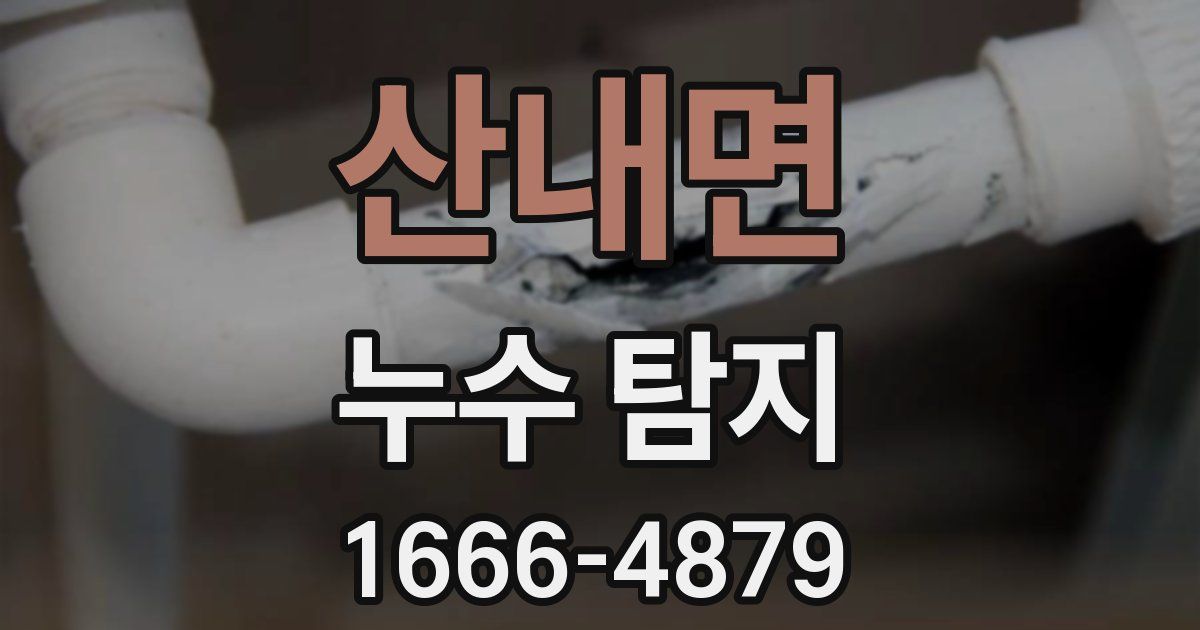 산내면 누수 탐지