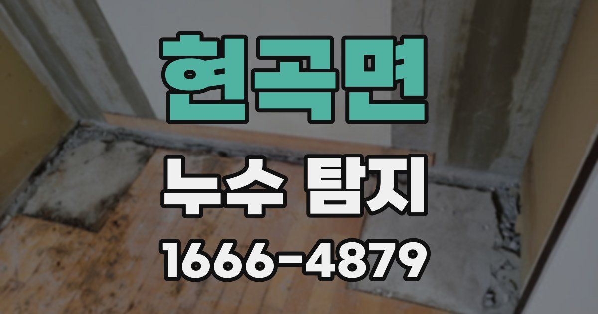 현곡면 누수 탐지
