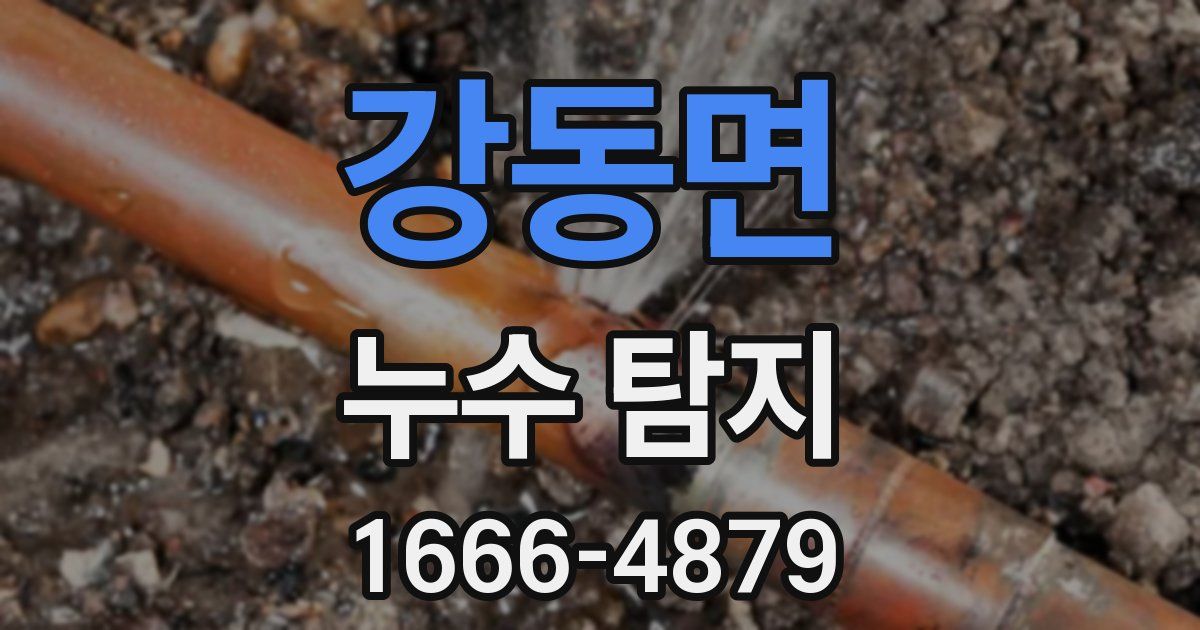 강동면 누수 탐지