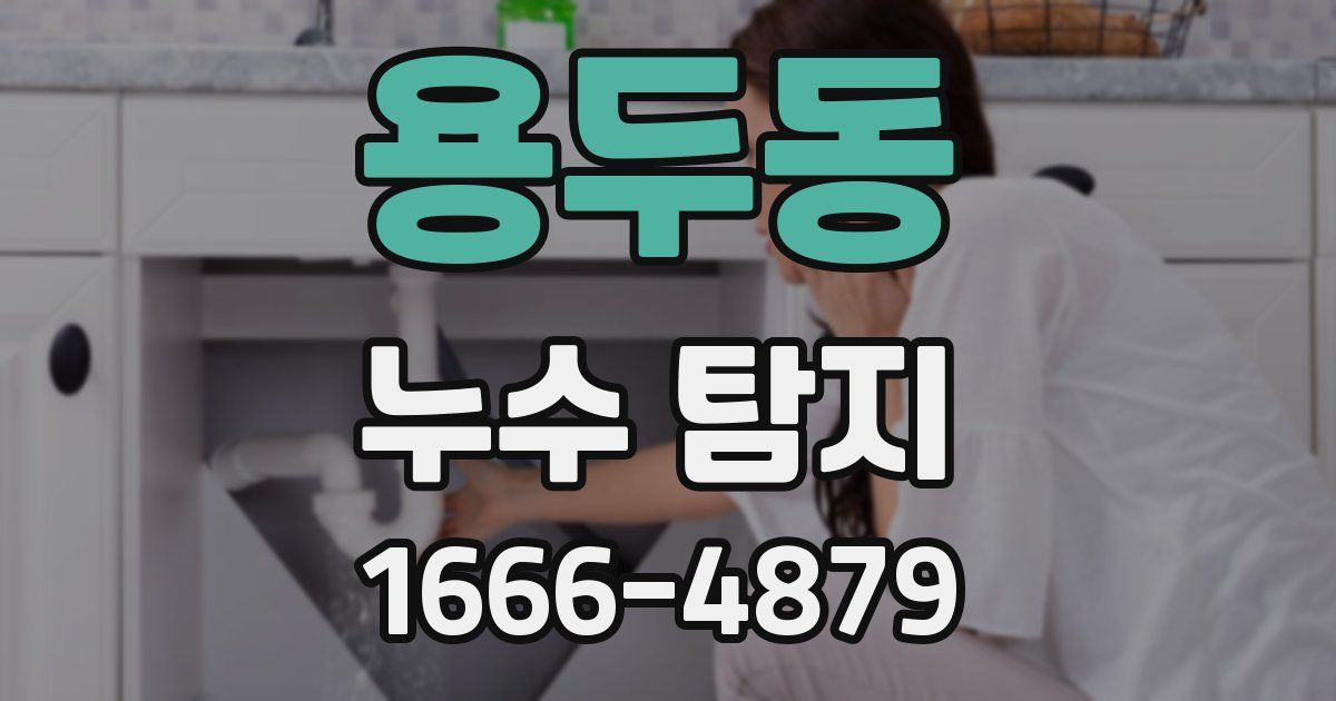 용두동 누수 탐지