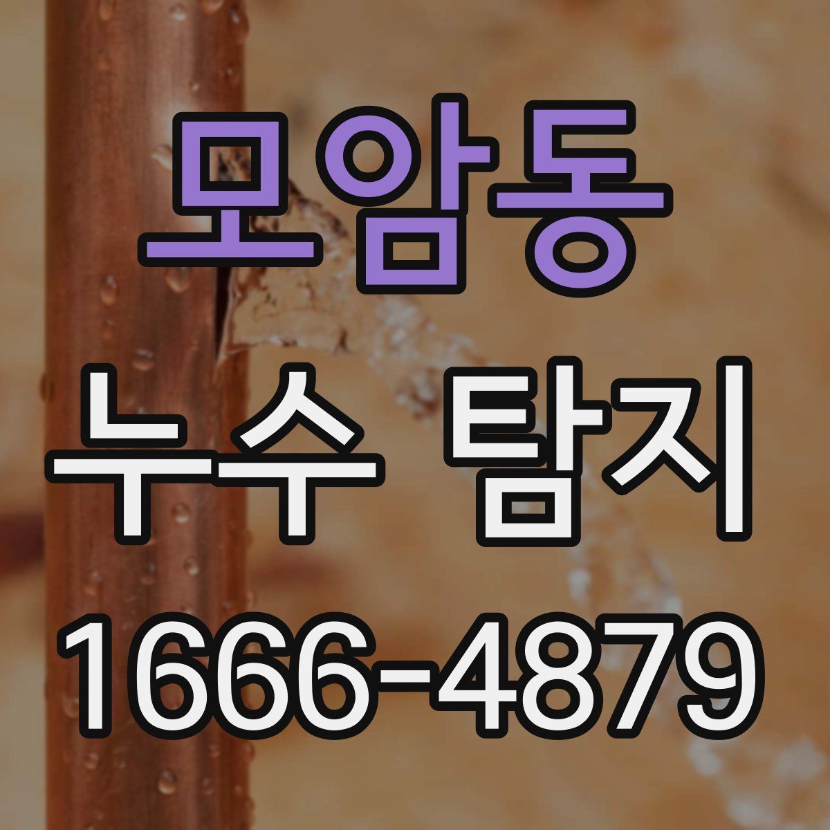 모암동 누수 탐지