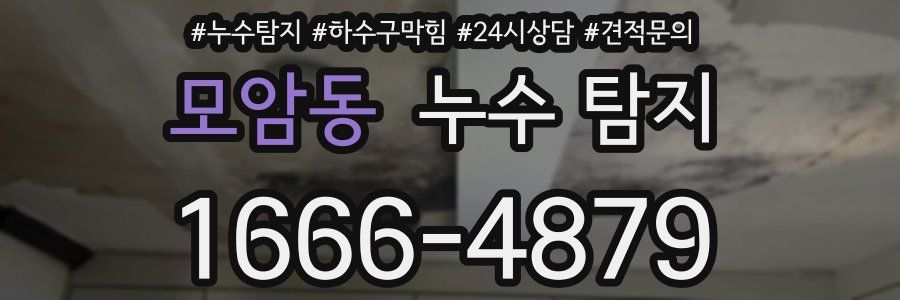 모암동 누수 탐지
