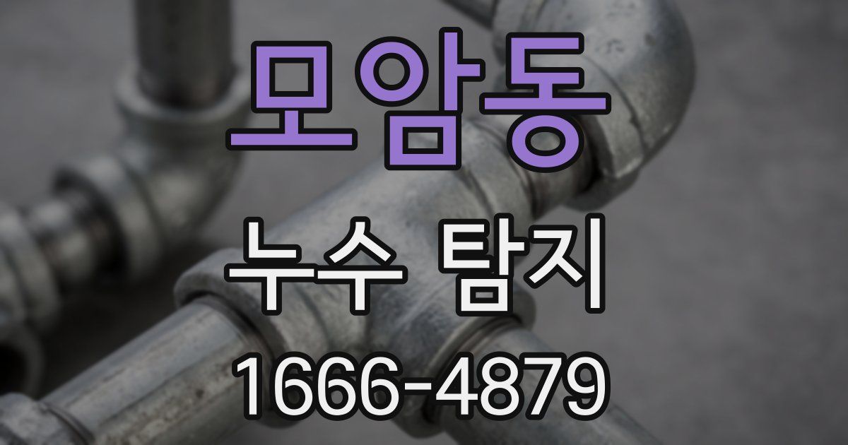 모암동 누수 탐지