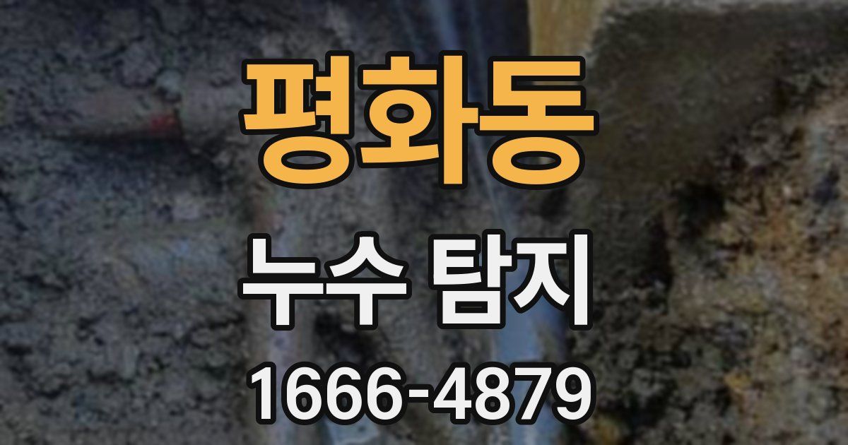 평화동 누수 탐지