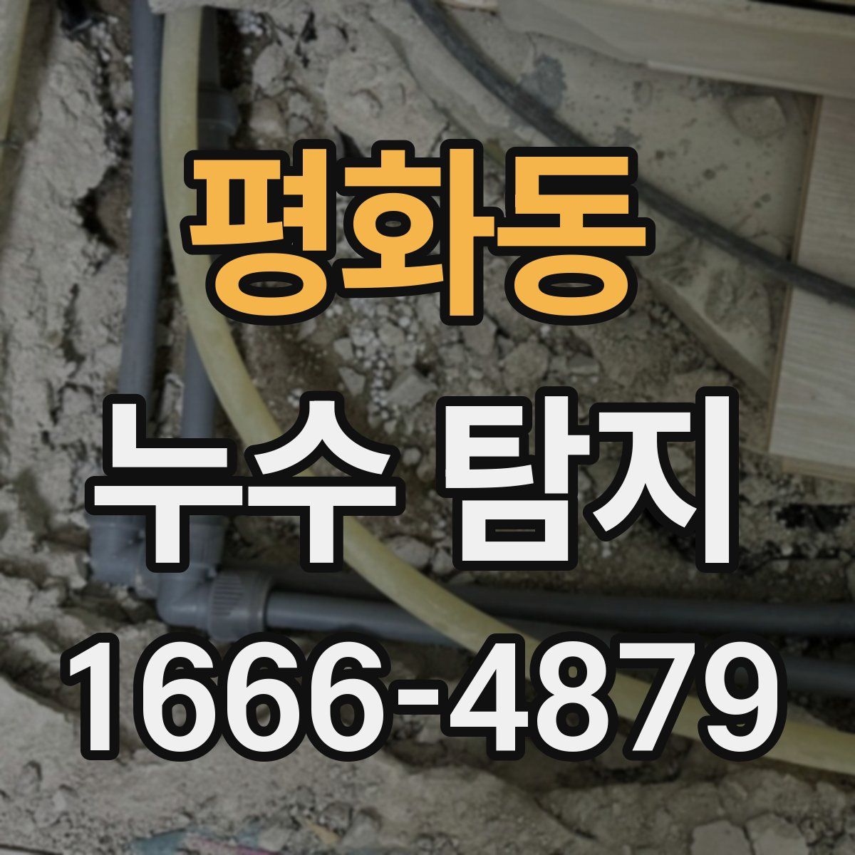 평화동 누수 탐지