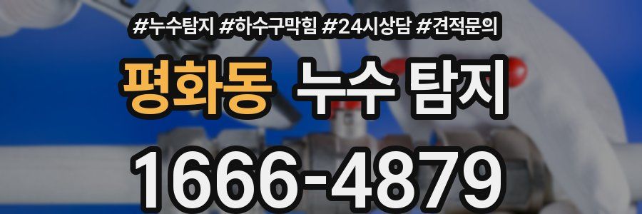 평화동 누수 탐지