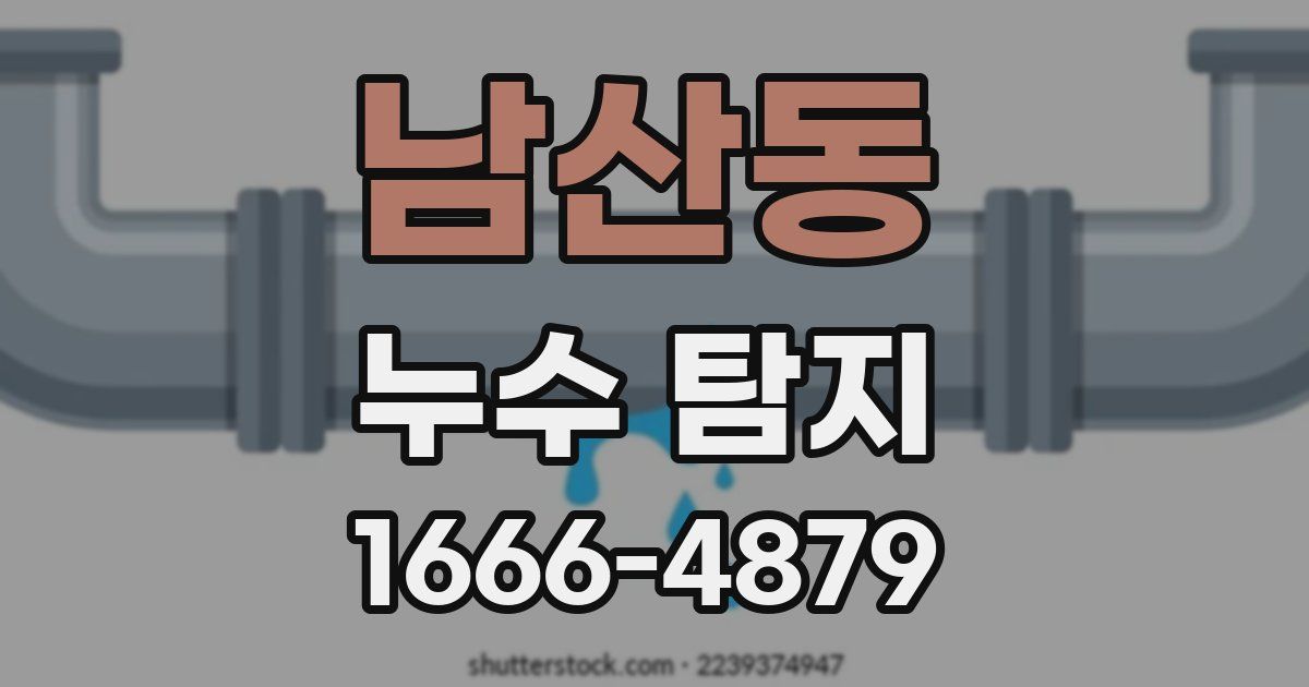 남산동 누수 탐지