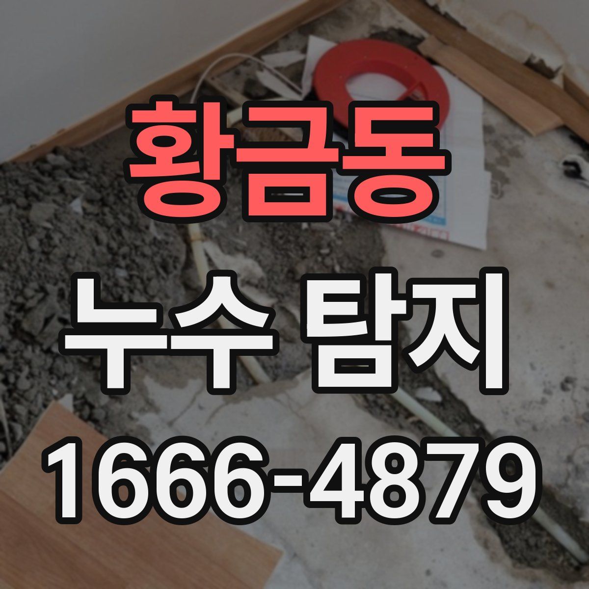 황금동 누수 탐지