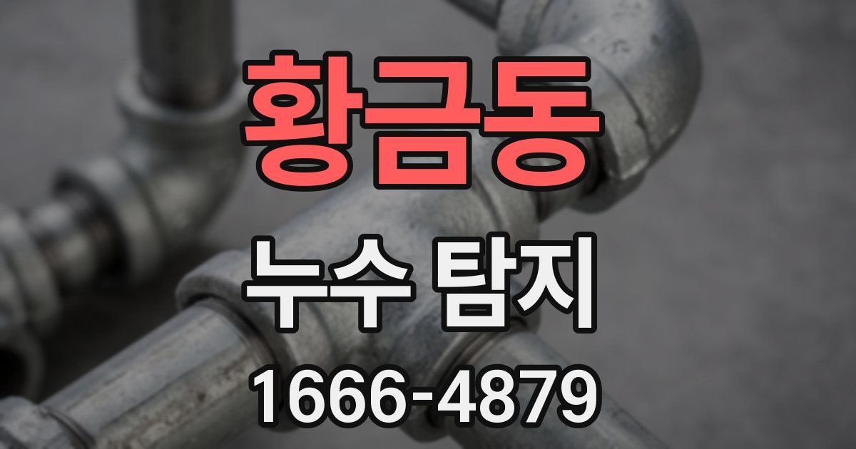 황금동 누수 탐지