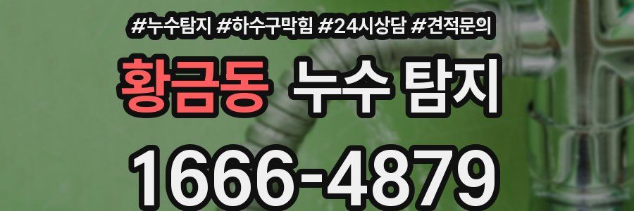 황금동 누수 탐지