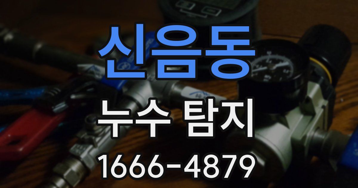 신음동 누수 탐지