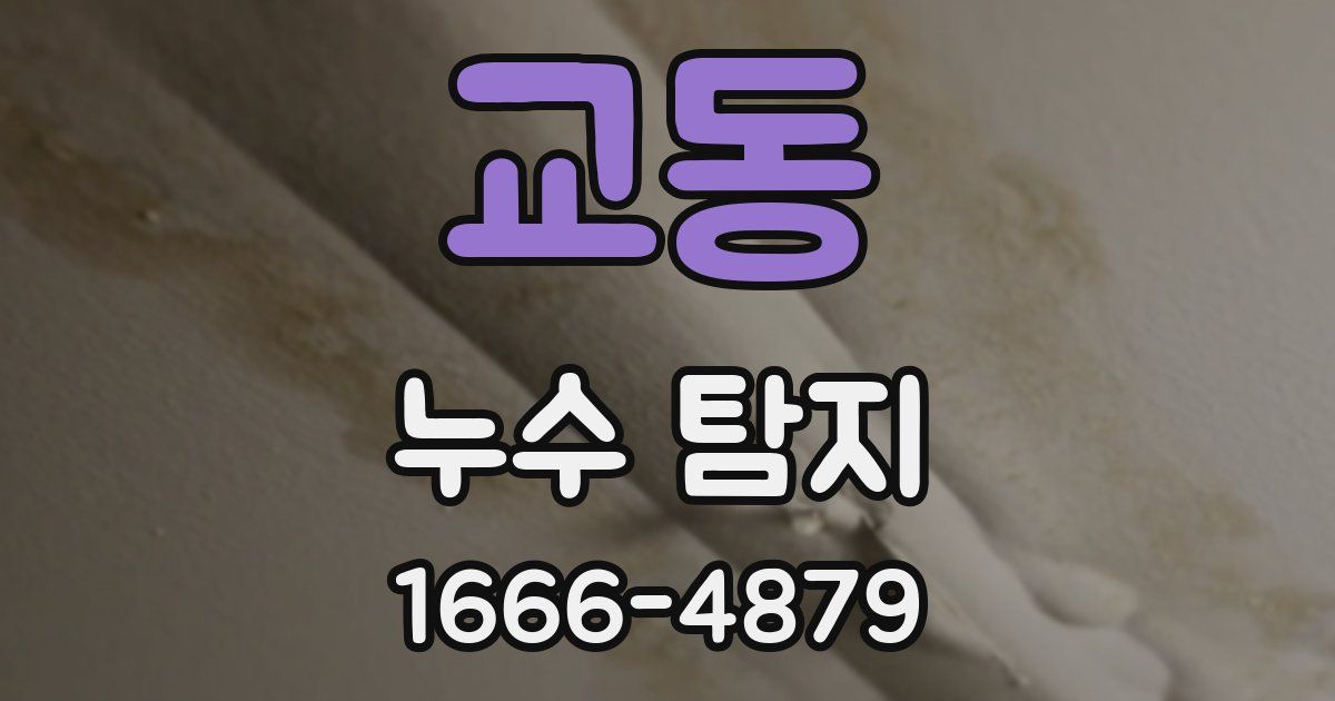 교동 누수 탐지