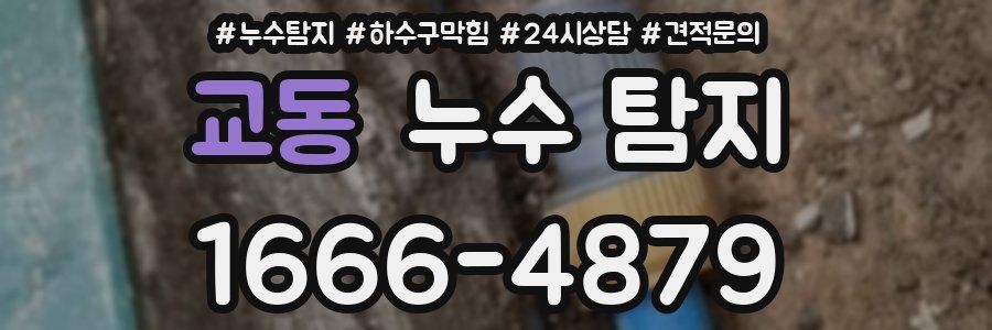교동 누수 탐지