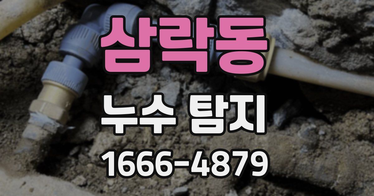 삼락동 누수 탐지