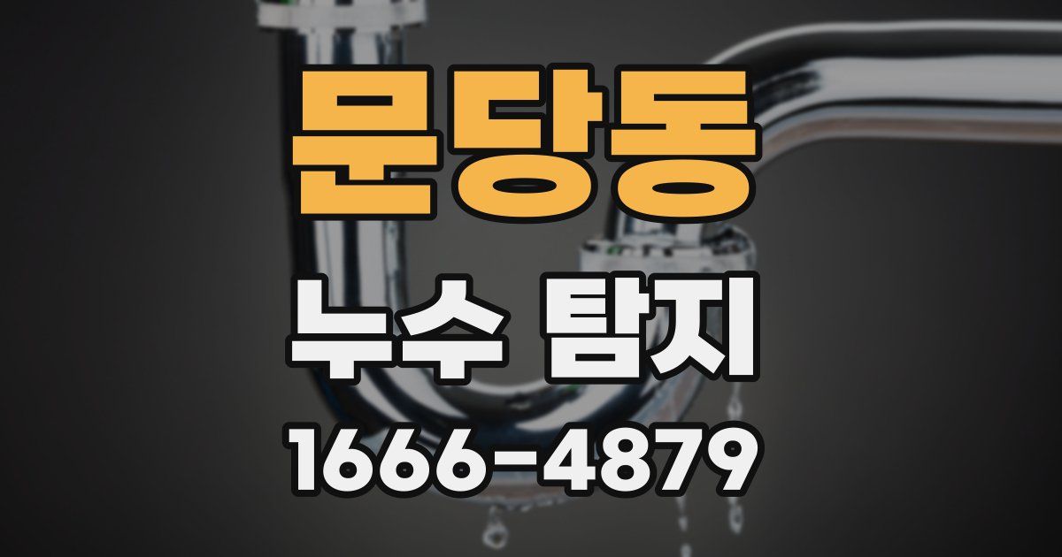 문당동 누수 탐지