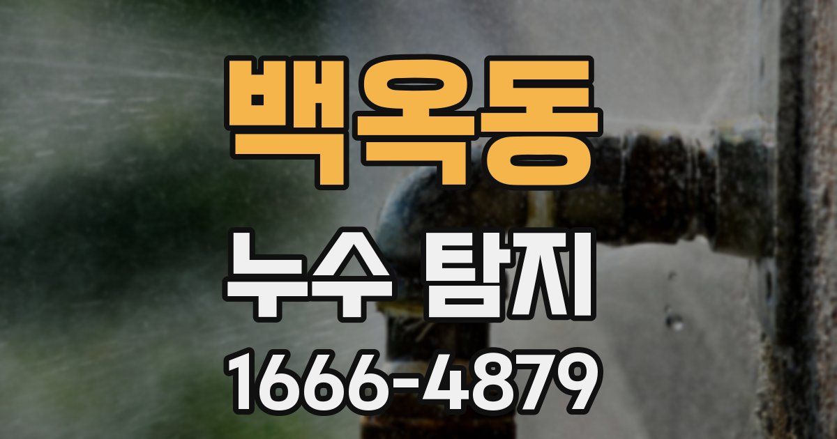 백옥동 누수 탐지