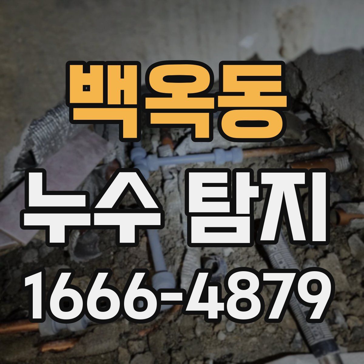 백옥동 누수 탐지