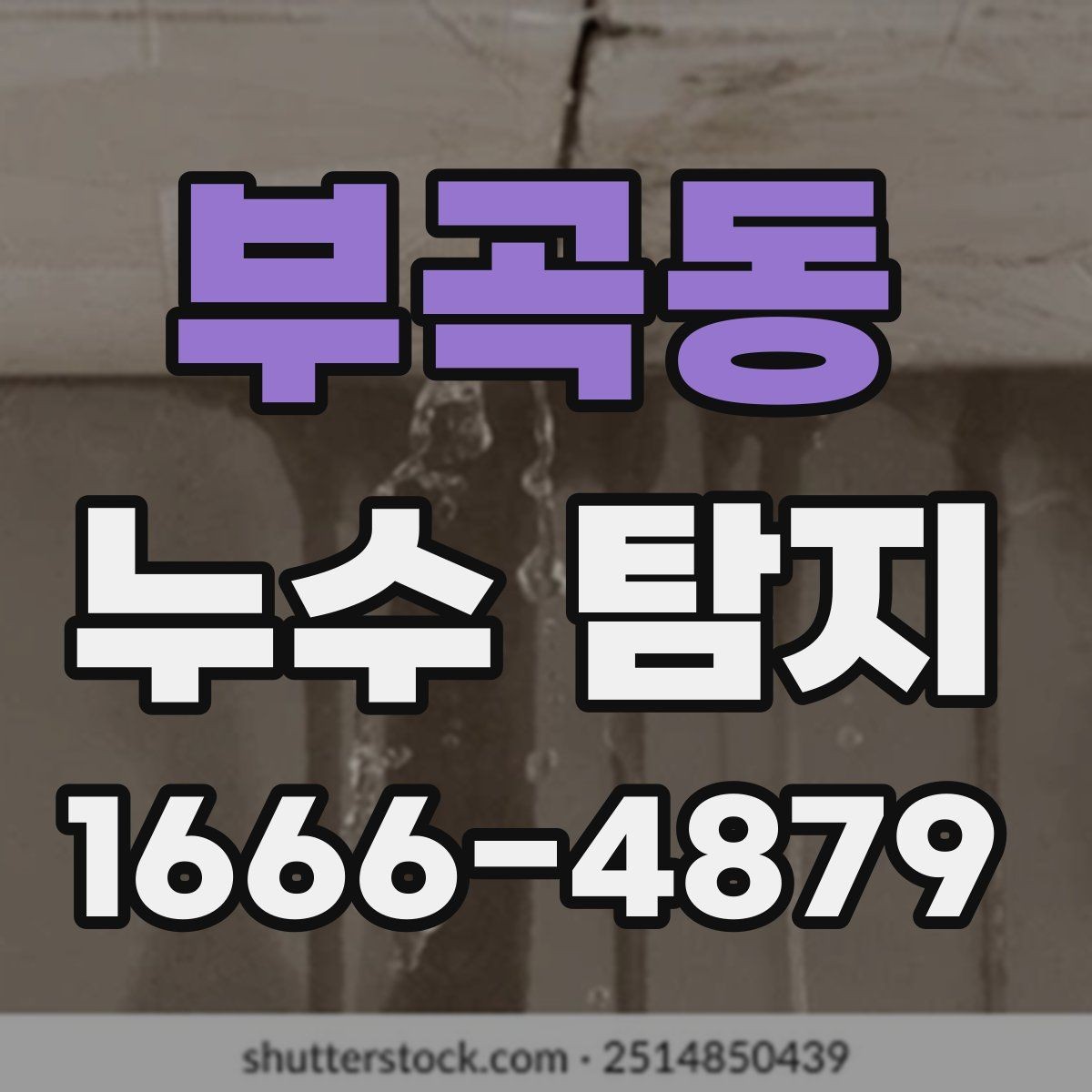 부곡동 누수 탐지 예약 전에 비교할 사항