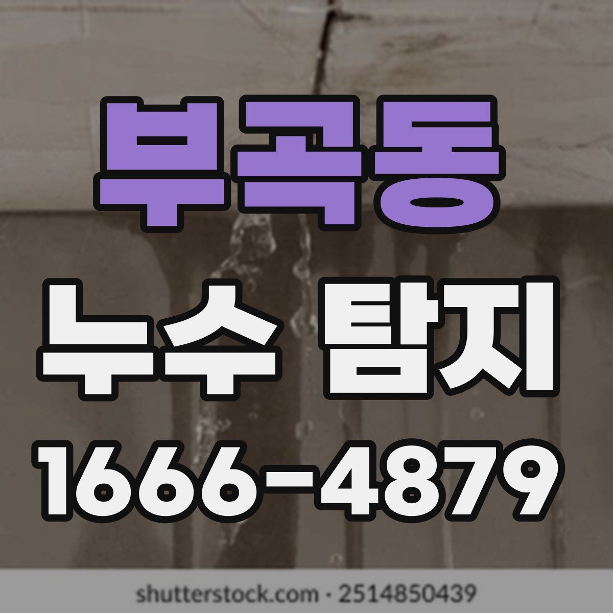 부곡동 누수 탐지